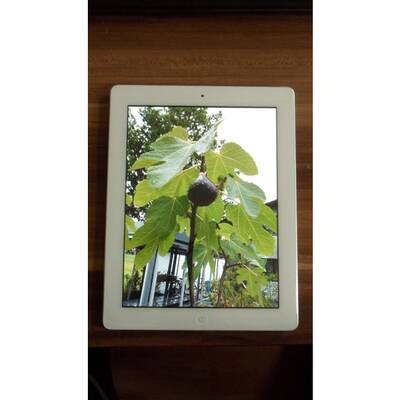 Neues Apple-Tablet im Test