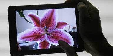 Tests: Apples iPad mini ist gut aber teuer