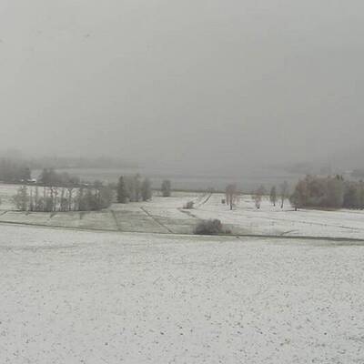 Blick über den Irrsee (OÖ) 