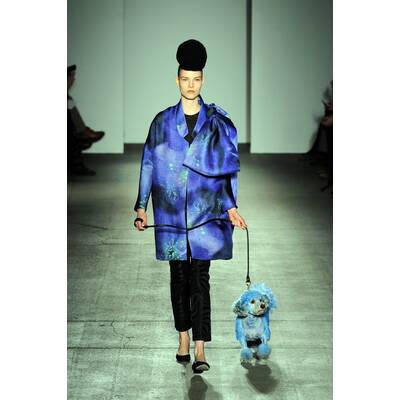 So sehen die Stars beim Gassigehen aus