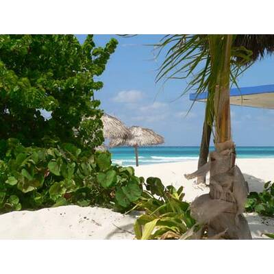 Die neuesten Urlaubsfotos