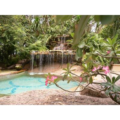 Die neuesten Urlaubsfotos