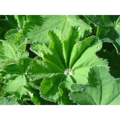 Die neuesten Urlaubsfotos