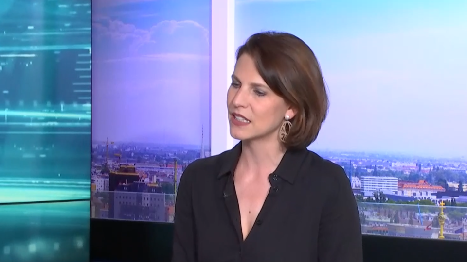 Diese Kandidaten sollen für Nehammer & Co EU-Wahl schlagen