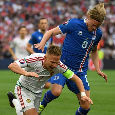 Die besten Bilder Island - Ungarn