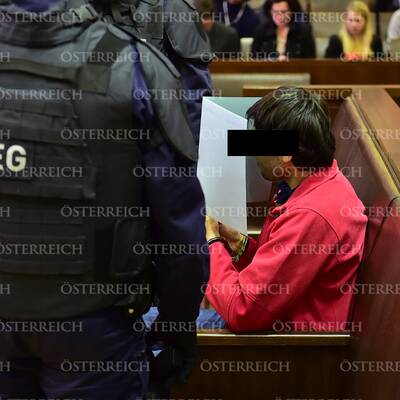 Islamisten-Prozess in Krems 