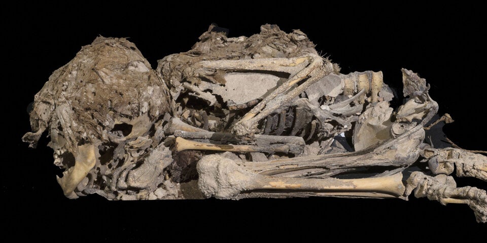 Spektakulärer Fund in der 'Höhle des Grauens'