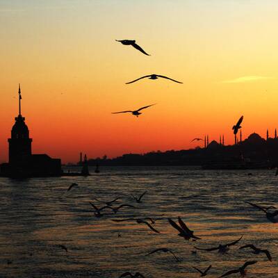 Der größte Pool der Welt