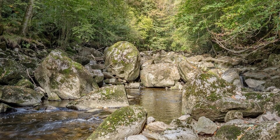 Die Wildbachklamm ist eine der beeindruckendsten Schluchtlandschaften des Bayerischen Waldes.