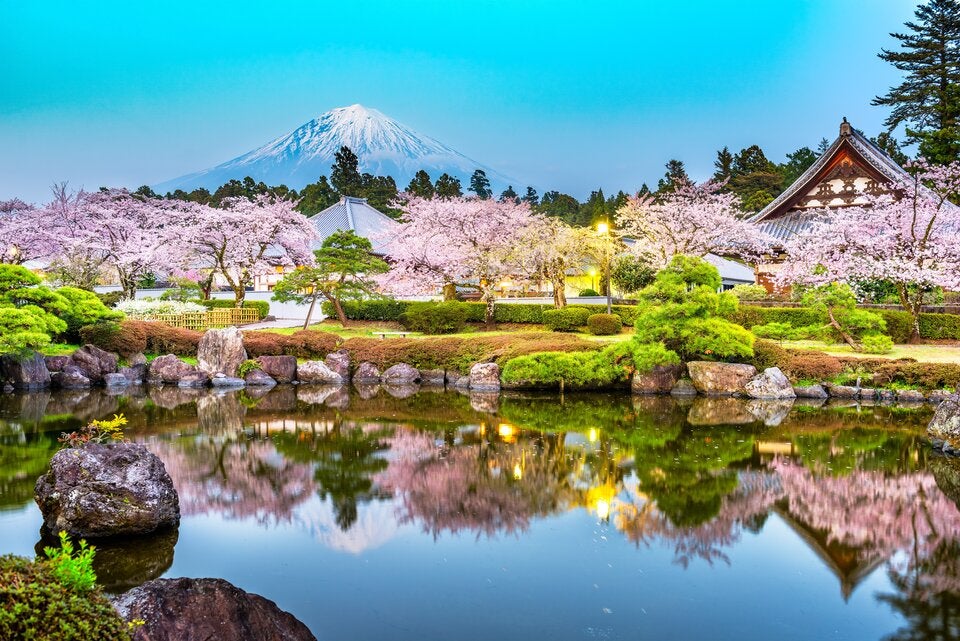 Der historische Taiseki-ji Tempel vor dem Fuji während der Kirschblütensaison. 