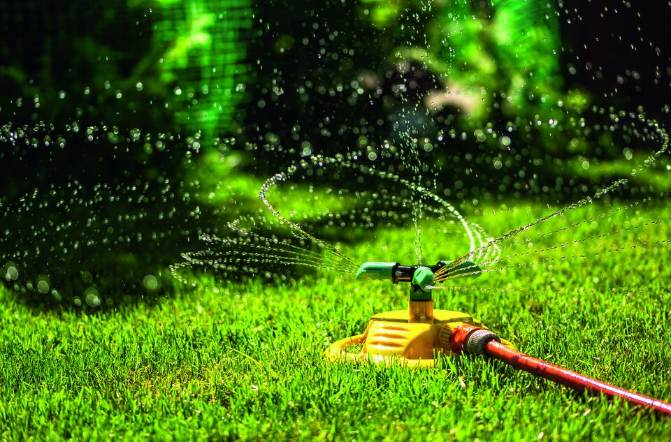 Gartenbewässerung: Tipps für die Sommerzeit