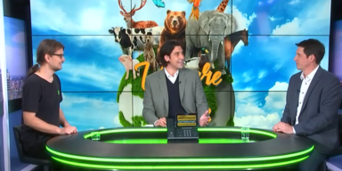 itv tiersendung.PNG