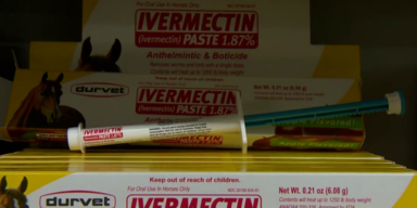 ivermectin