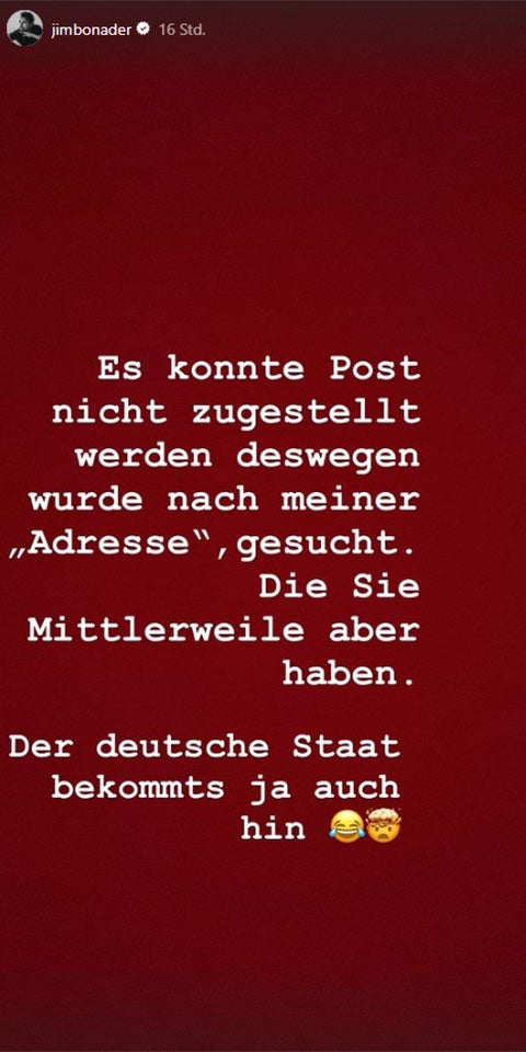 Ochsenknecht