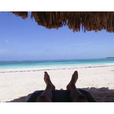 Die neuesten Urlaubsfotos