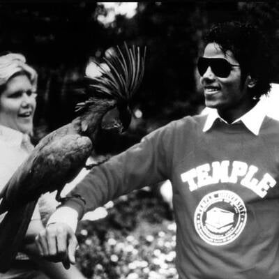 Das Leben des Michael Jackson