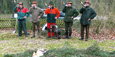 Schuss in Waidmanns Bein