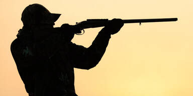 Wilderer-Alarm auf der Donauinsel