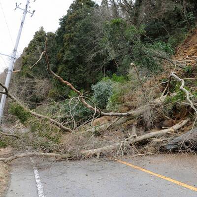 Erdbeben und Flutwelle in Japan