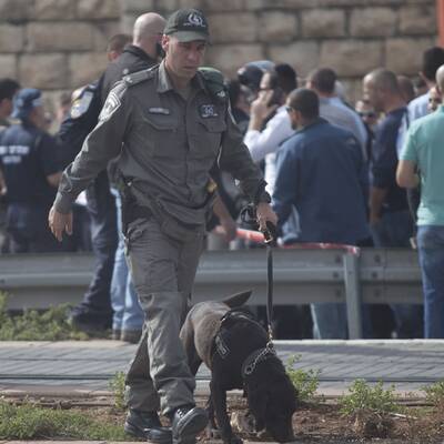 Ein Autofahrer raste in die Menge.