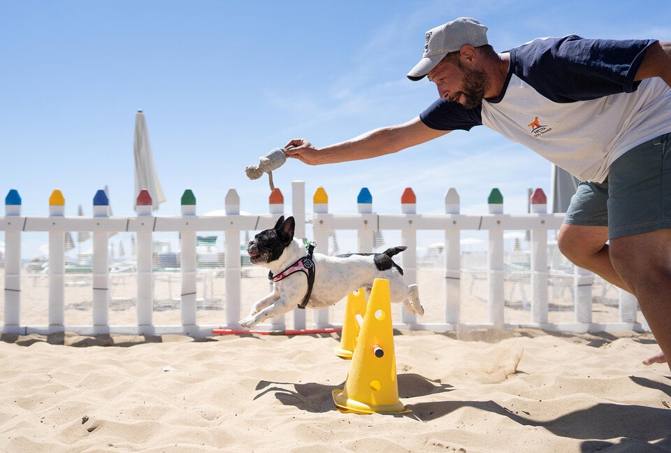 Sommer an Italiens Adria