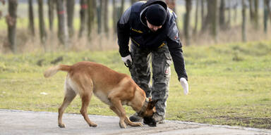 Tallesbrunn G&auml;nserndorf Babyleiche