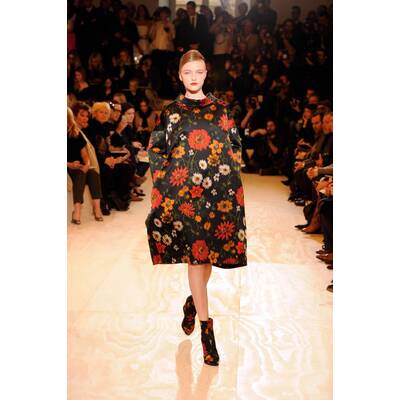 Stars im Blumenfieber