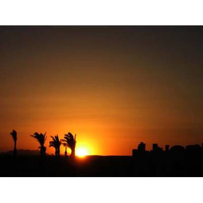 Die romantischsten Fotos