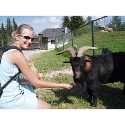 Die neuesten Urlaubsfotos