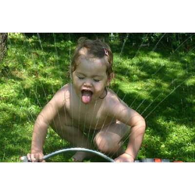 Das schönste Österreich-Bild