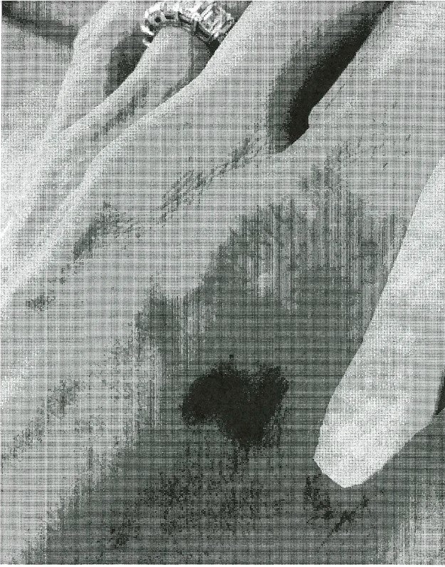 FBI zeigt Jolies Verletzungen