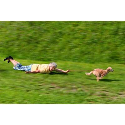 Alle lustigen Urlaubsfotos