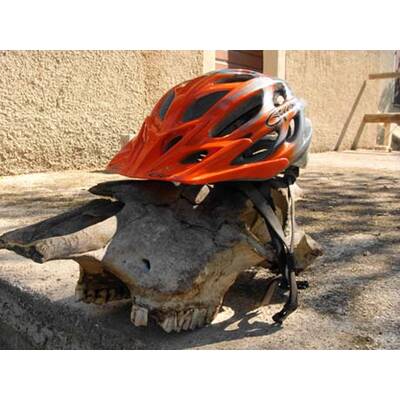 Alle lustigen Urlaubsfotos