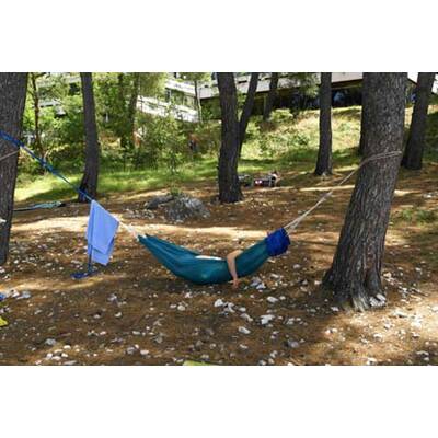 Die neuesten Urlaubsfotos