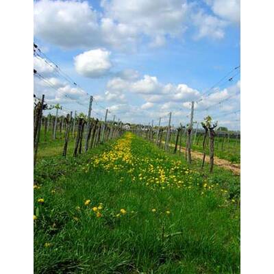 Die neuesten Urlaubsfotos