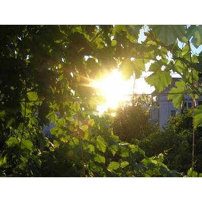 Die neuesten Urlaubsfotos