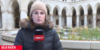 julia ludwig gegen lobau stopp.PNG