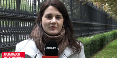 julia pfleger gekundigzt.PNG