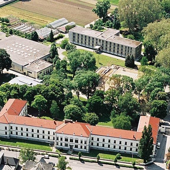 Häftling starb in Justizanstalt: So extrem waren seine Verletzungen