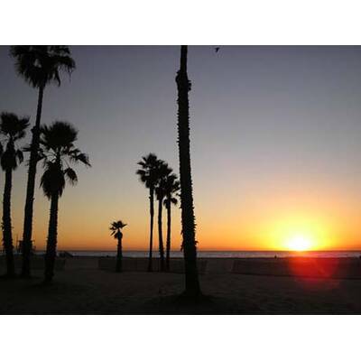 Die romantischsten Fotos