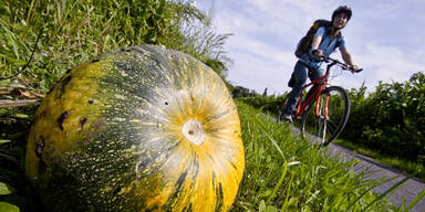 Hier wird der Herbst ein echter Genuss