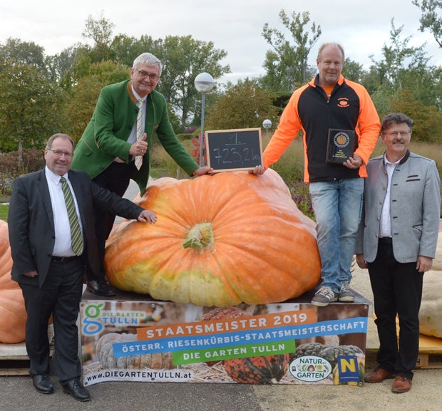 Neuer Rekord: Dieser Kürbis ist 723,2 Kilo schwer