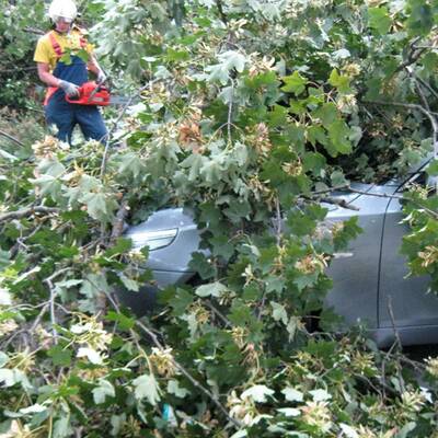 Sturmschäden in NÖ, Steiermark, Burgenland