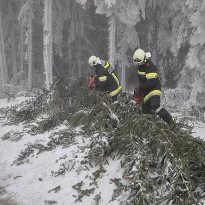 Waidhofen an der Thaya, NÖ