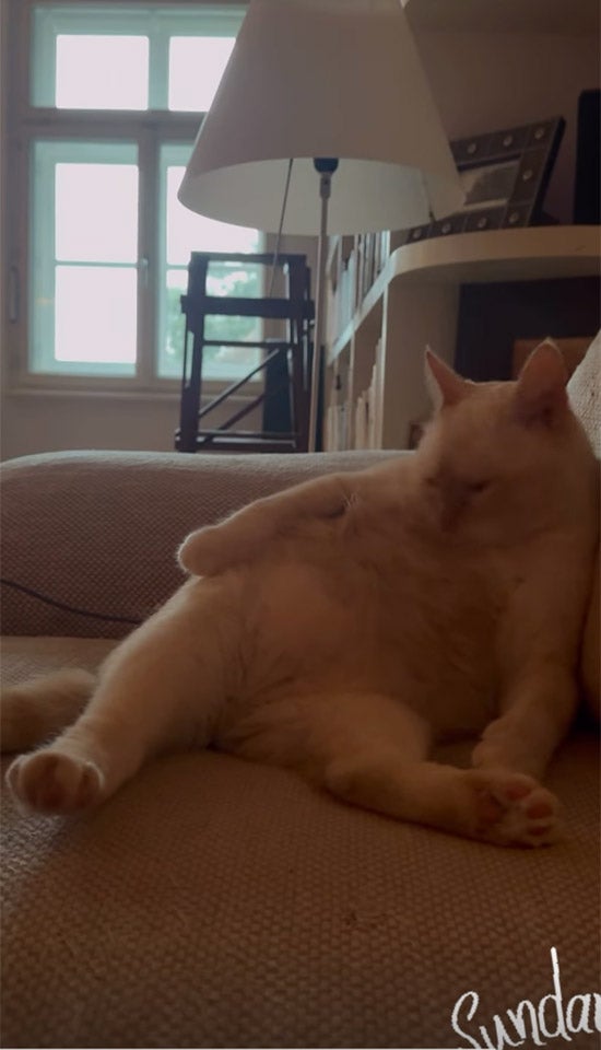 Robert Kratky: Erste Worte nach Ö3-Aus & Ausblick auf sein neues Leben