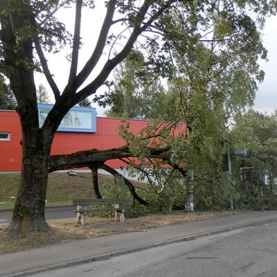 Sturmschäden in NÖ, Steiermark, Burgenland