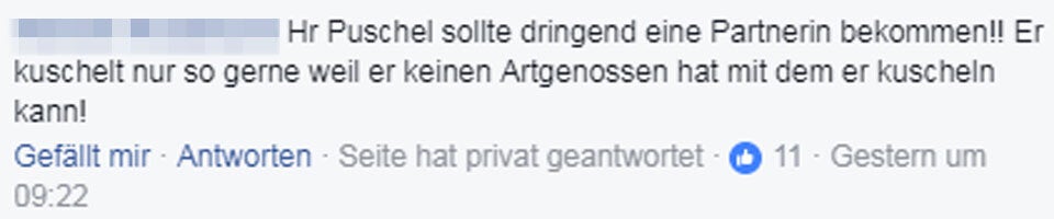 Kratky: Sorge um seinen Hasen Puschel