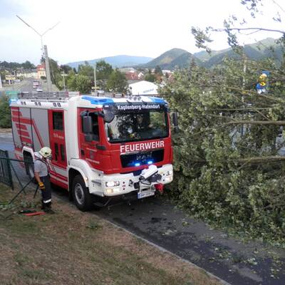 Sturmschäden in NÖ, Steiermark, Burgenland