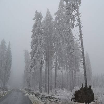 Waidhofen an der Thaya, NÖ