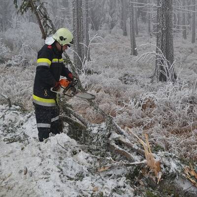 Waidhofen an der Thaya, NÖ